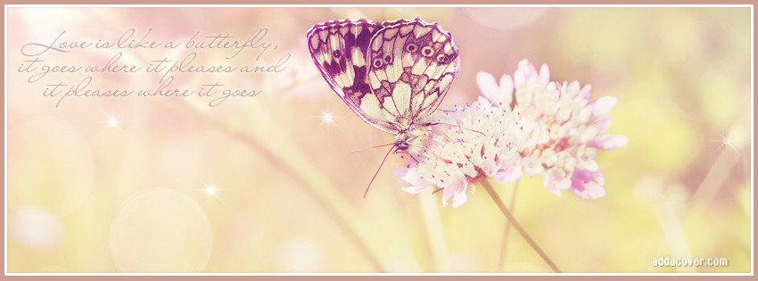 9039-love-is-like-a-butterfly